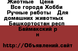 Жиотные › Цена ­ 50 - Все города Хобби. Ручные работы » Для домашних животных   . Башкортостан респ.,Баймакский р-н